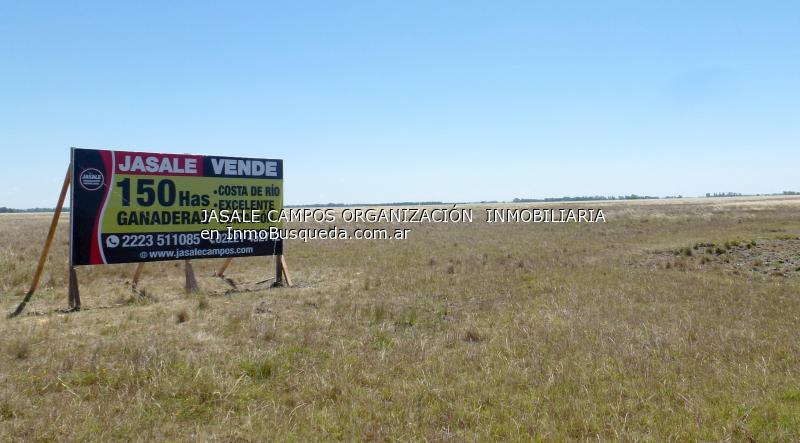 Campo en Venta