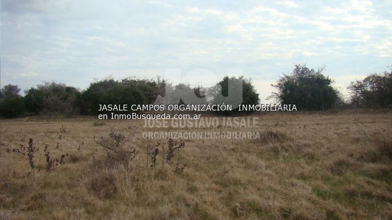 Campo en Venta