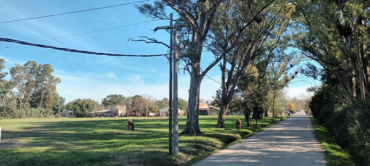 Lote (manzana completa) en venta en Guernica