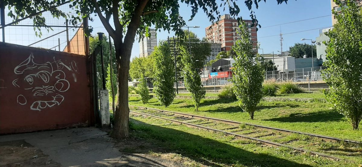 Terreno de 1289 m2 con Renta x Estacionamiento