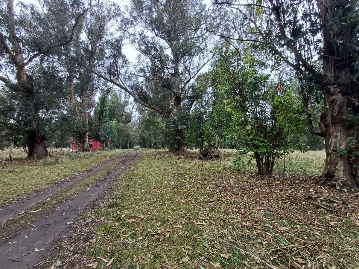 VENTA DOS LOTES EN MIRAMAR