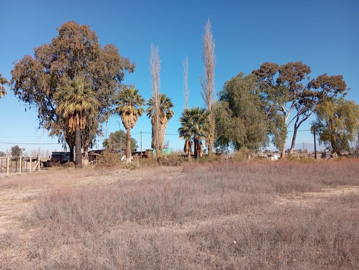 TERRENO DE 4.788 M2 EN ALBARDON