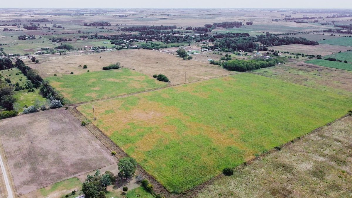 Campo a la venta en Ignacio Correas La Plata