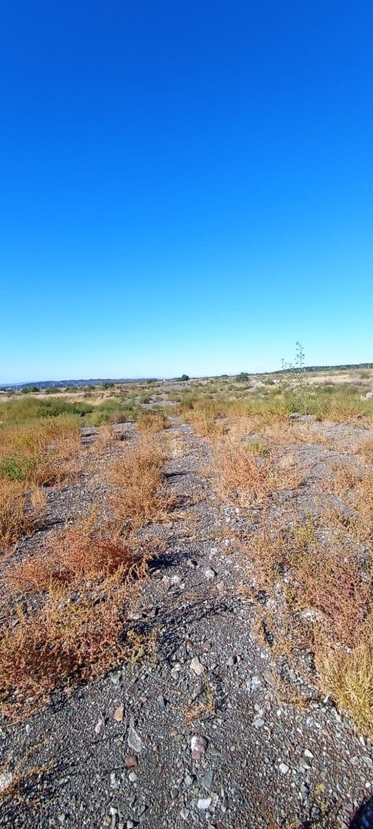 Venta lotes en barrio cerrado 