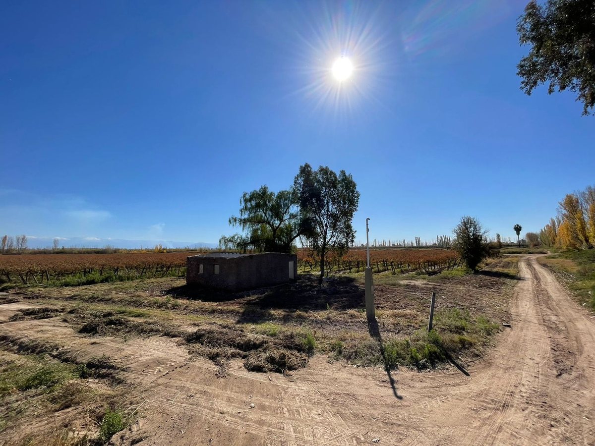 Venta Finca 5 Hectáreas. La Pega, Lavalle.