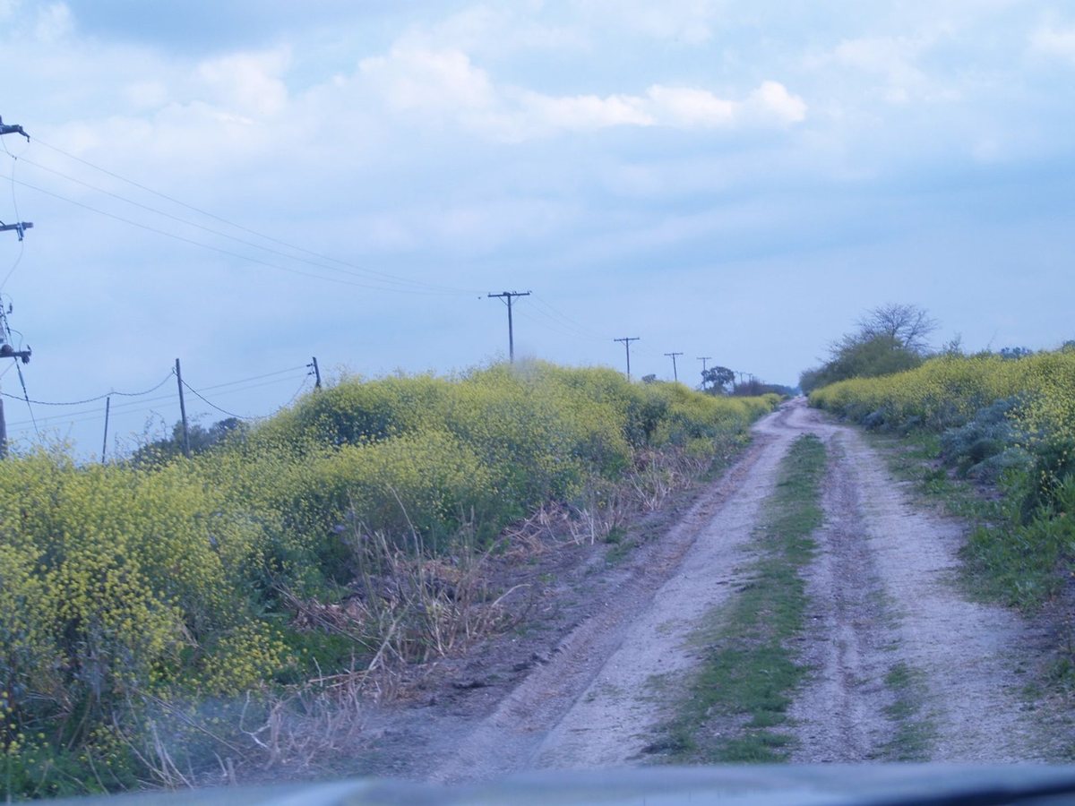 Campo en venta en Madgalena