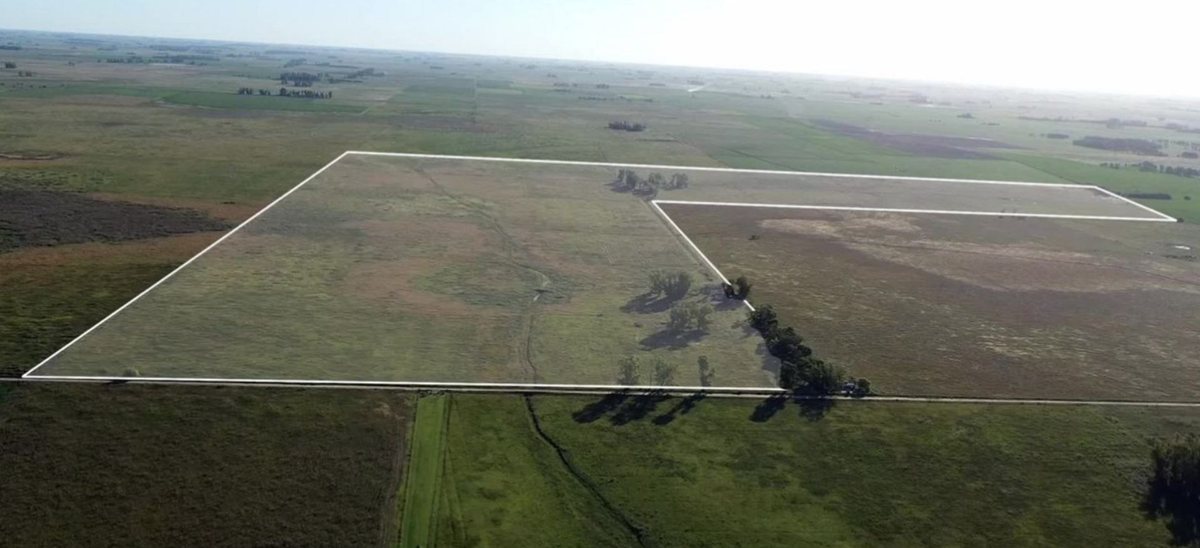 Terreno 140ha campo Ganadero en Suipacha