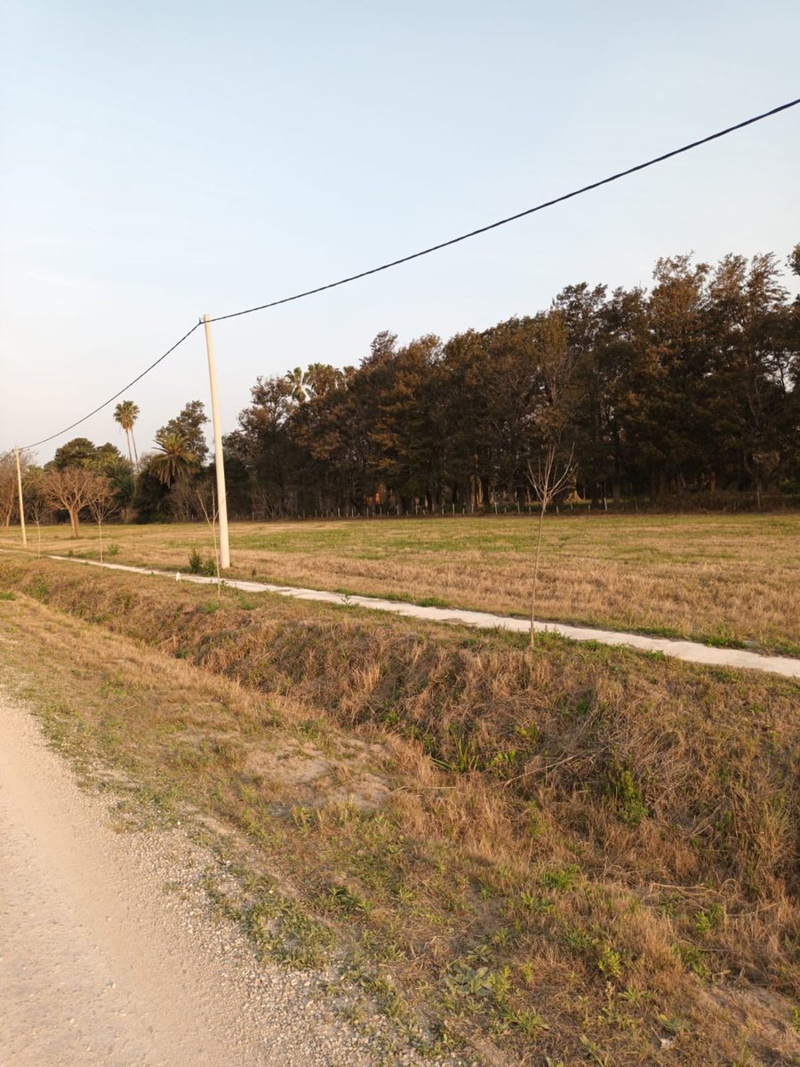 SE VENDEN LOTES EN ZONA COSTERA DE CAIMA!