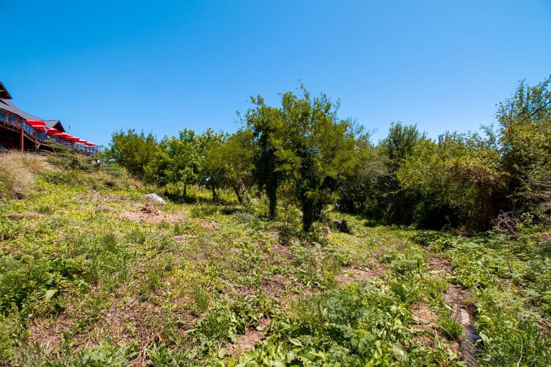 VENTA TERRENO SIERRA DE LOS PADRES 