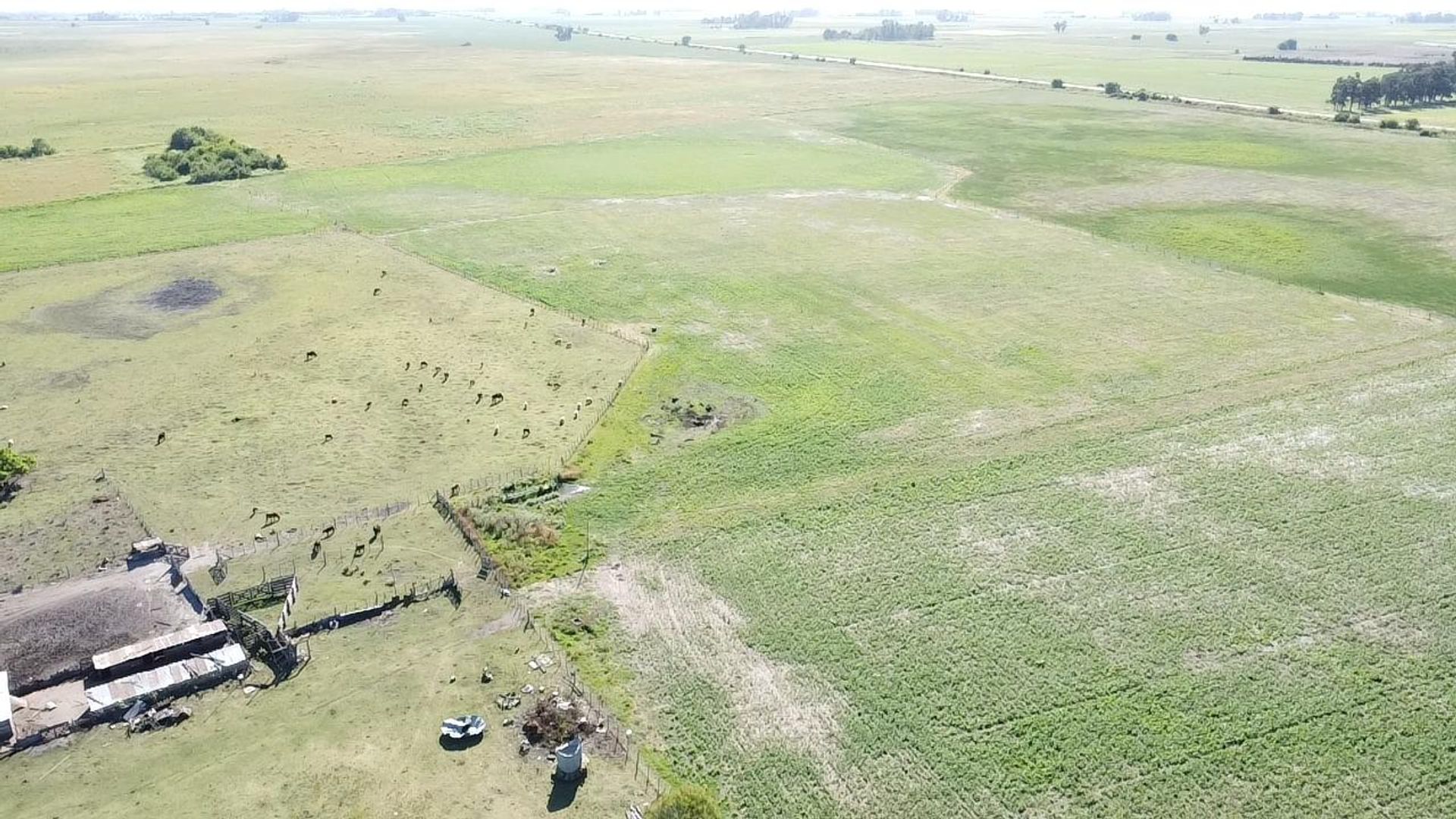 Campo en Venta Saladillo 57 Hectáreas