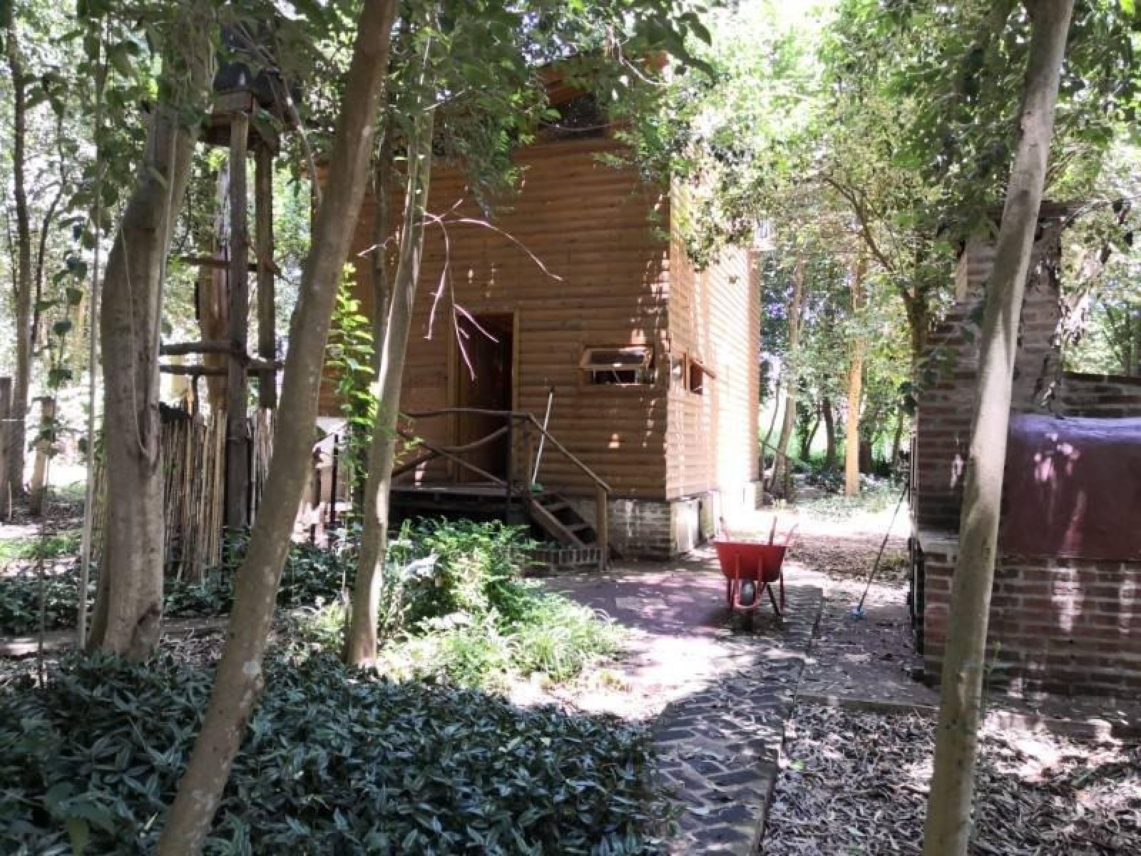 Cabaña De Madera En Amplio Lote Arbolado De 1.000 M2, Barrio Abadia