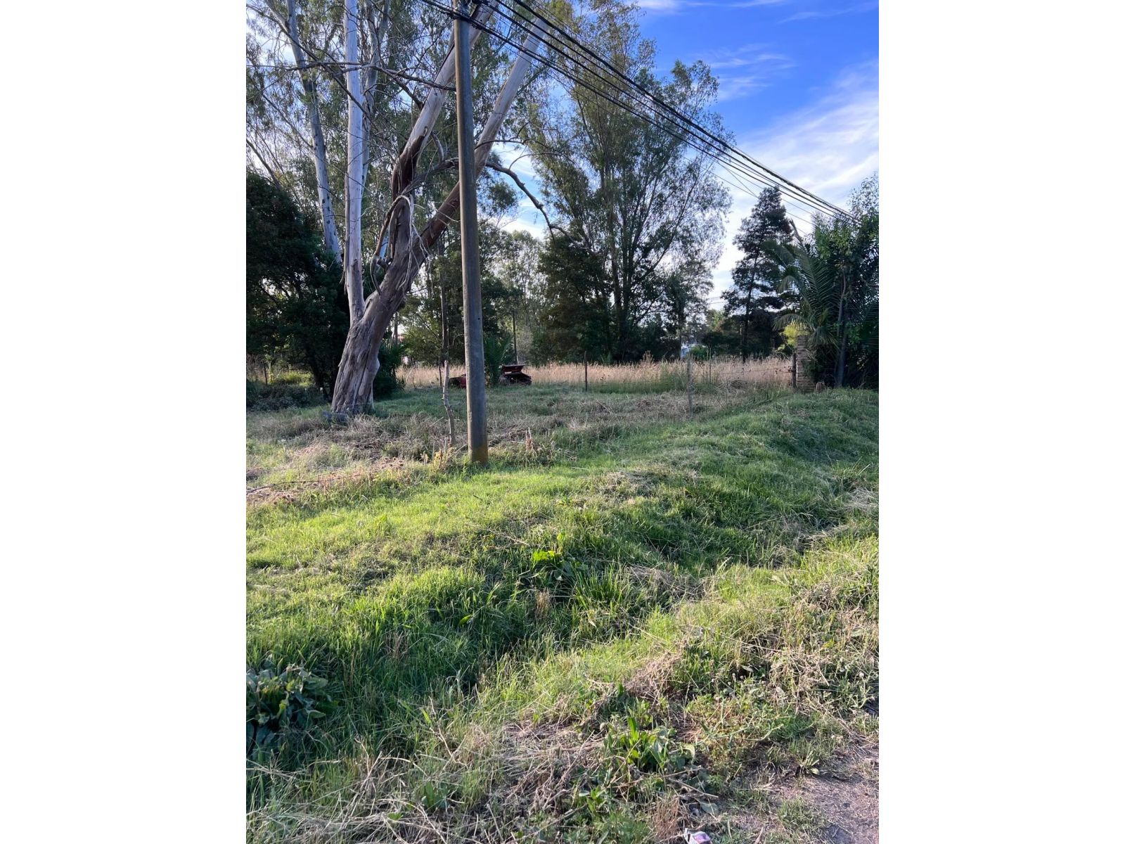 Lote ubicado en calle Las Golondrinas