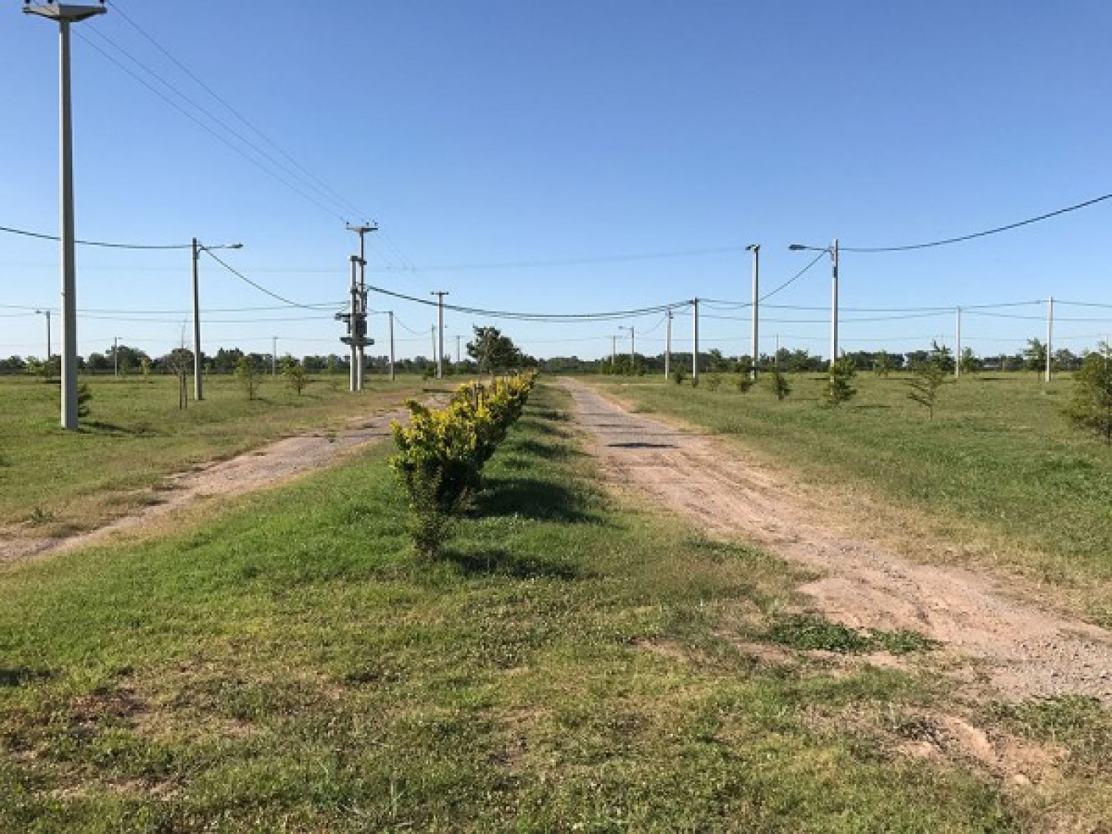 LOTEOS LAS CASUARINAS