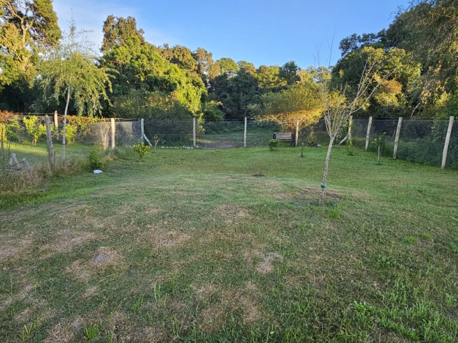 Terreno con pileta, parrillero, baño y deposito, Totalmente parquizado, en barrio Quinto Cuartel