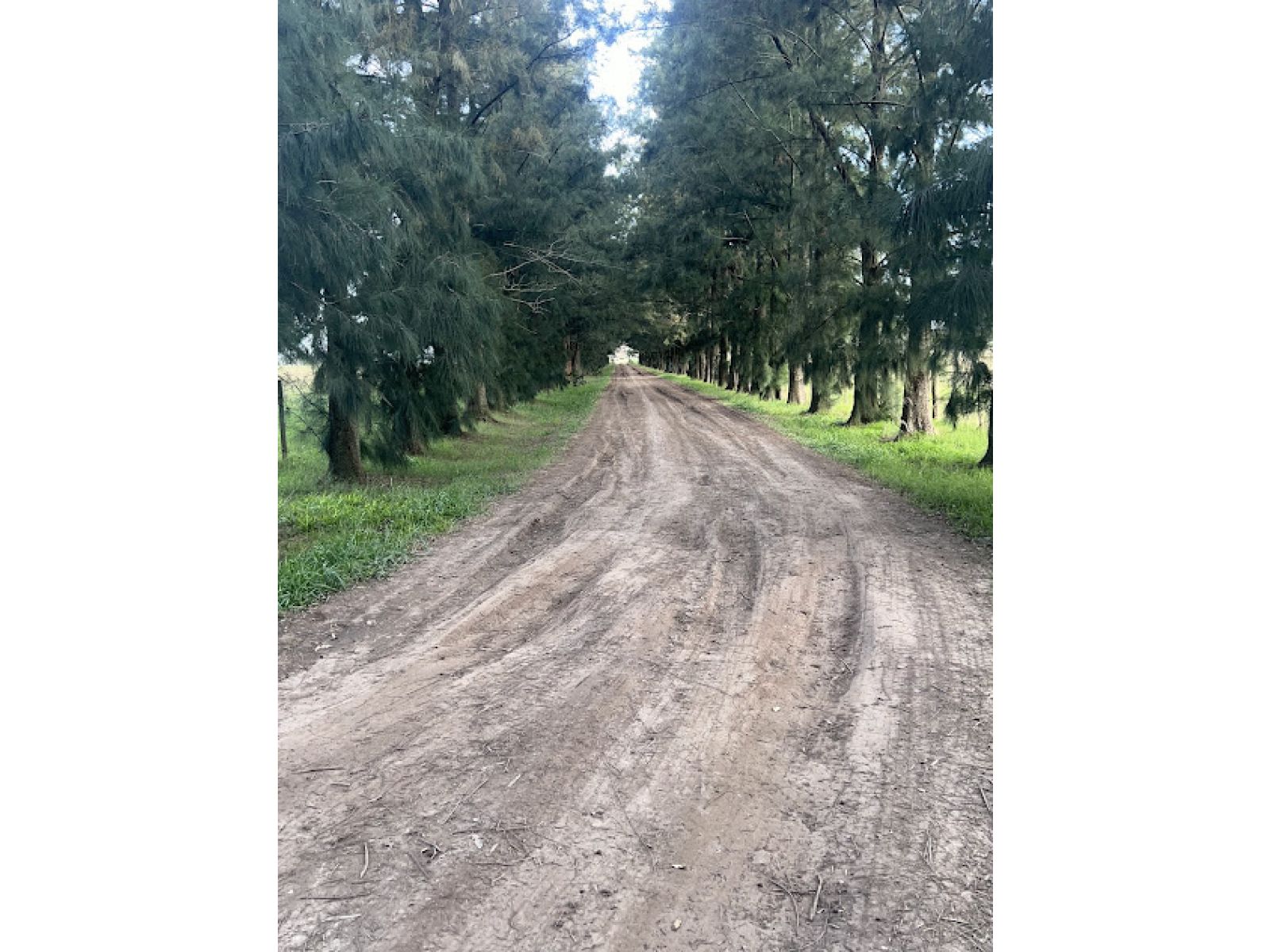 Chacra de 7 ha en San Miguel del Monte - La Escondida