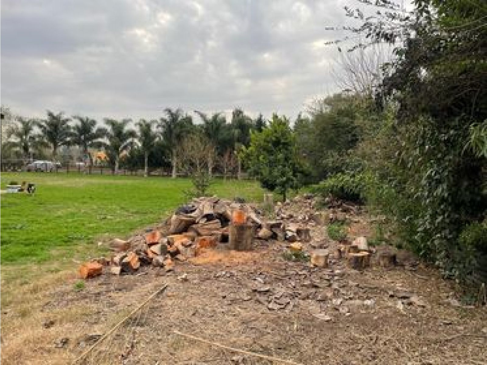 Lote ubicado en el Barrio Sanchez Espuelas - 15 x 50