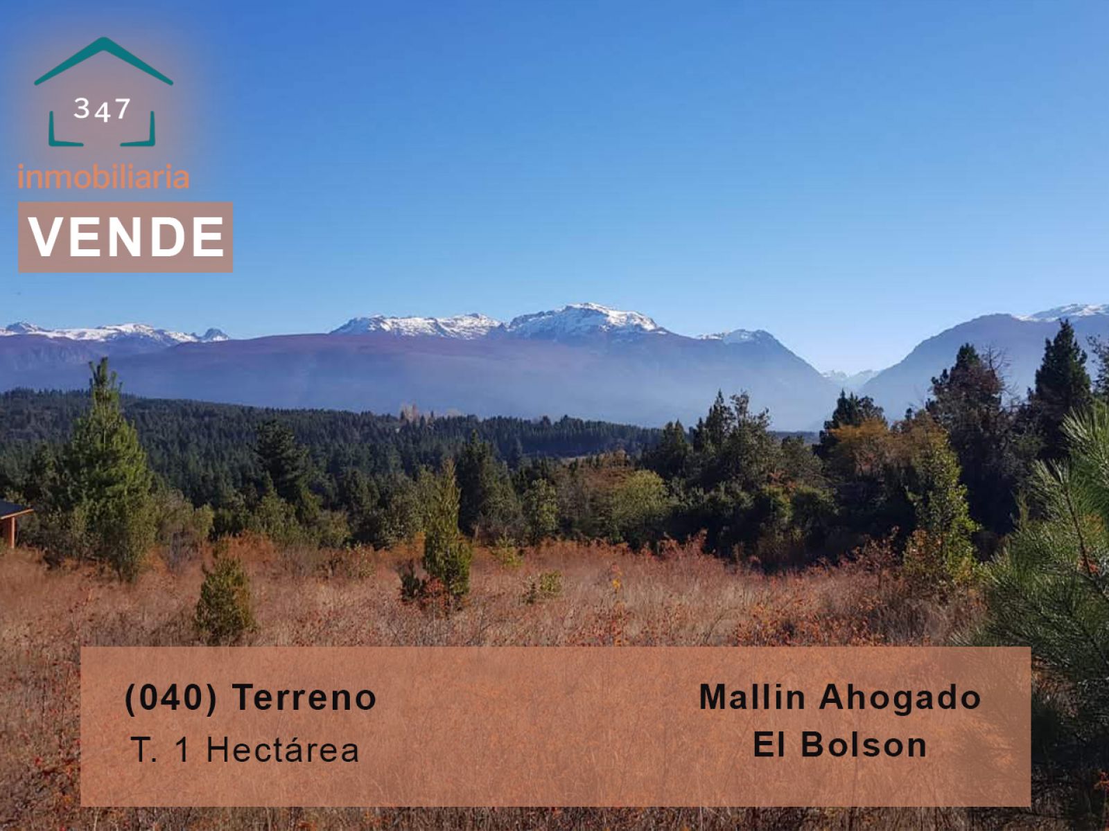 (040) TERRENO en Mallin Alto de 1 Hectárea