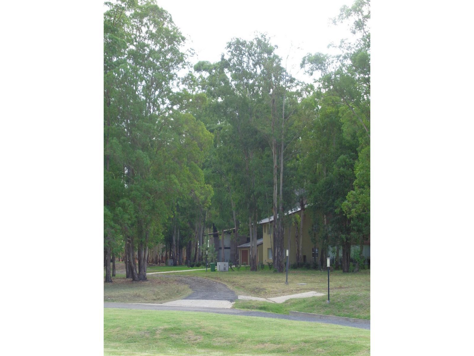 Terreno Barrio Cerrado Puerto Paraiso