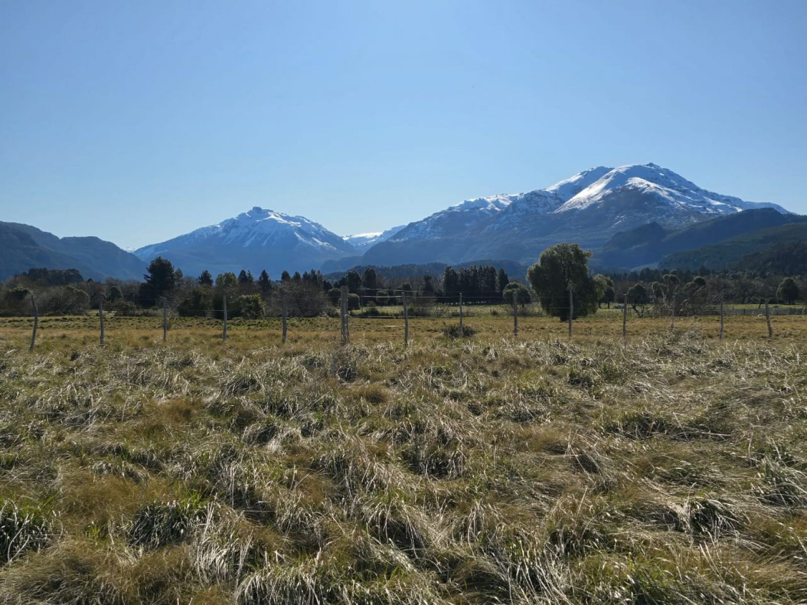 TERRENO DE 1Ha EN LOS CIPRESES CHUBUT