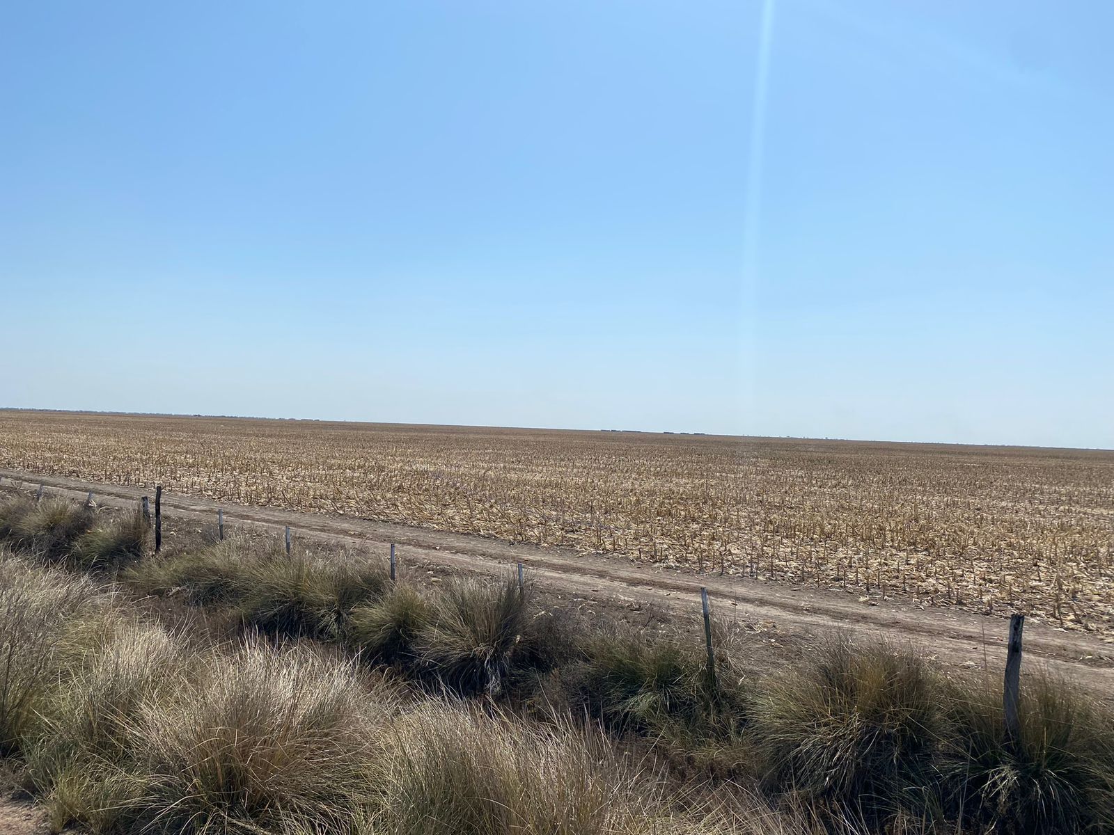 Venta Campo agrícola 800has, Bandera Bajada