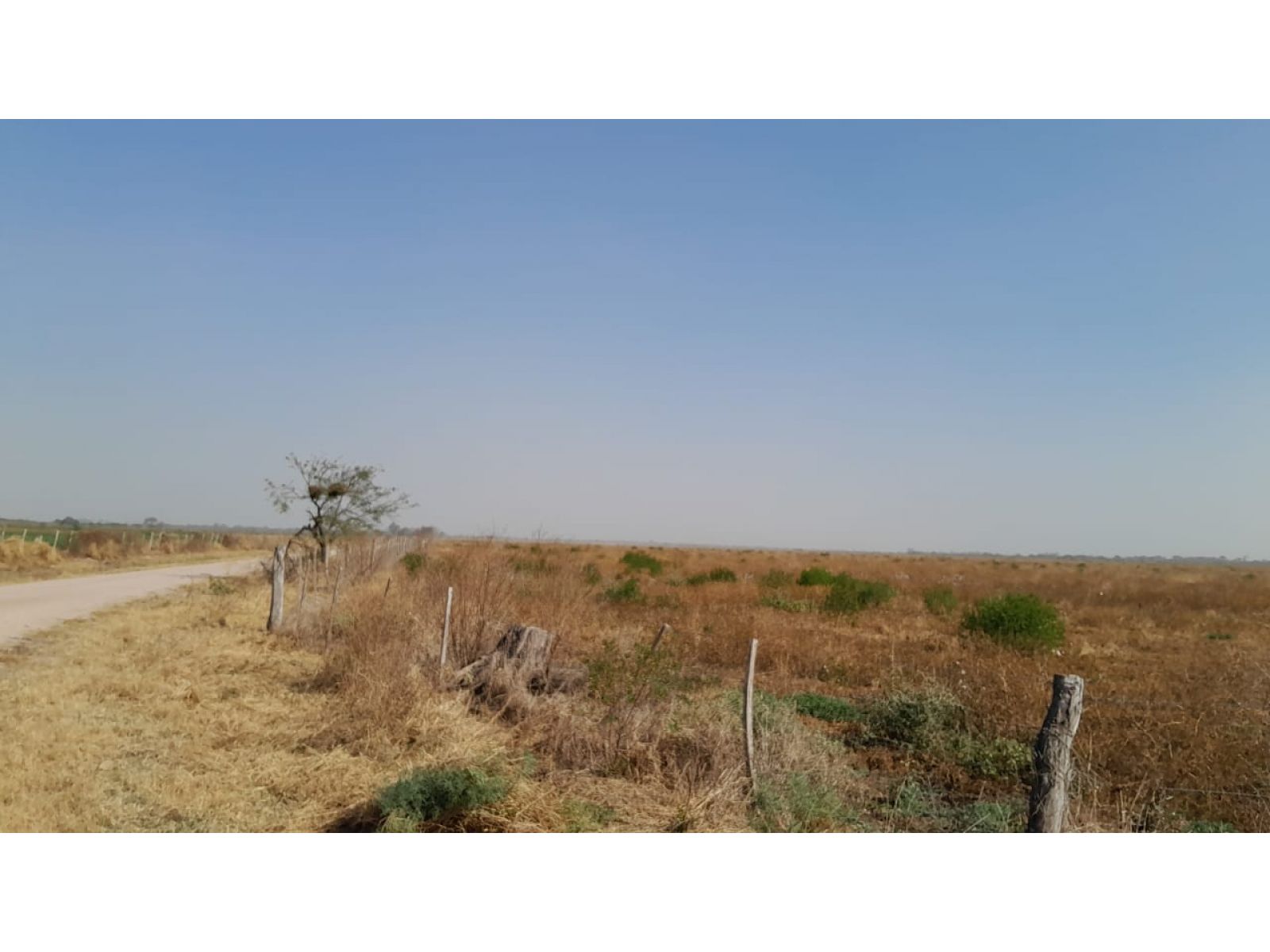 Venta Campo agricola 495has, Sgo del Estero, Clodomira