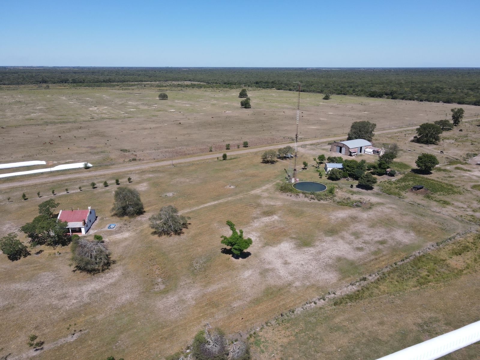 3220 HA GANADERAS - ( 420 agrícolas ) RECONQUISTA - PROV. DE SANTA FE