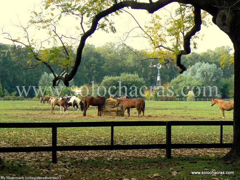 Estancia Benquerencia Farm Club -  Barrio Cerrado de Chacras 320 Monte, Pcia. de Buenos Aires