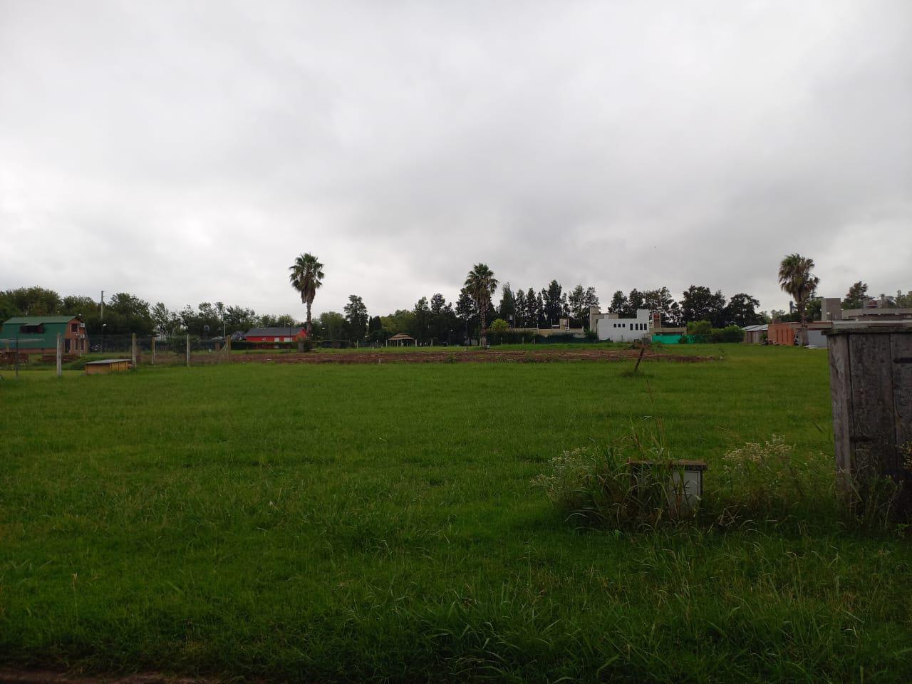 Terreno en  Chabás de 760m2