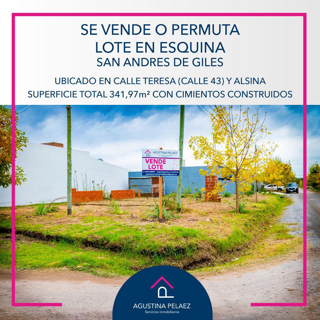 lote en venta Calle 43 y Alsina - San Andres de GIles