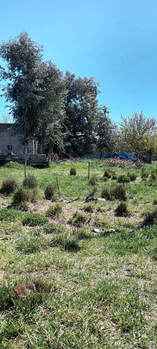 Terreno en  barrio los troncos (los nogales esquina los laureles)