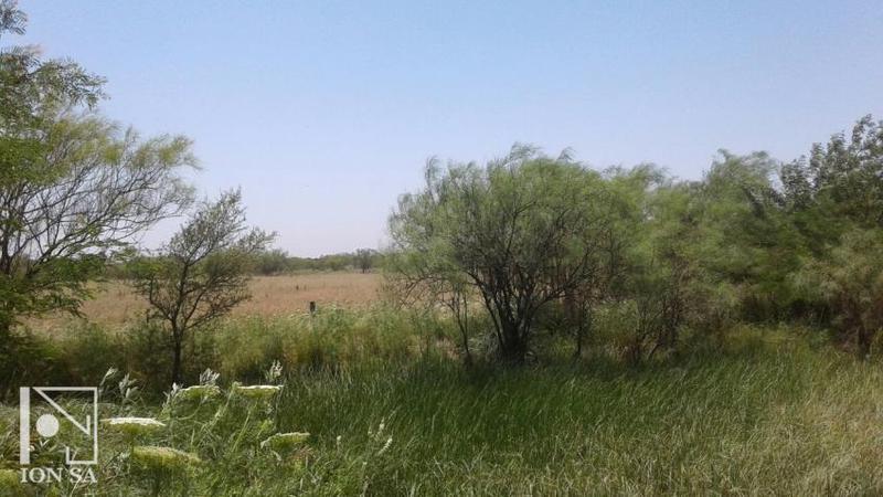 Campo en Nuevo Torino