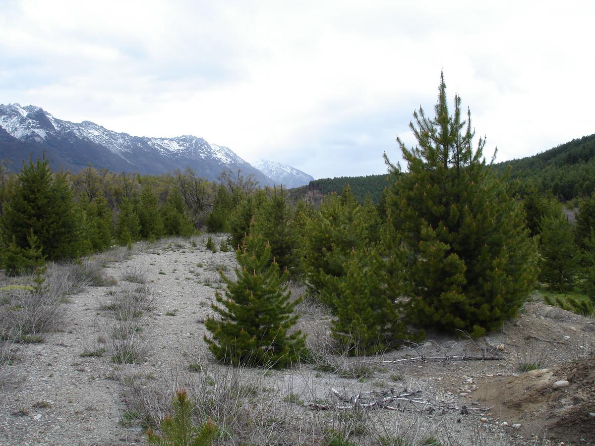 Venta 20 ha  Ruta 40, El Foyel, Bariloche