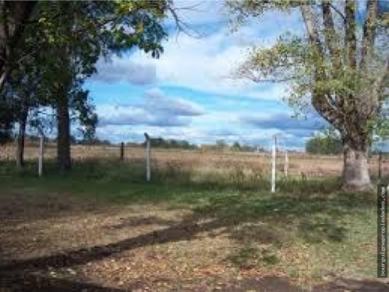 Venta campo en paraje el boquerón