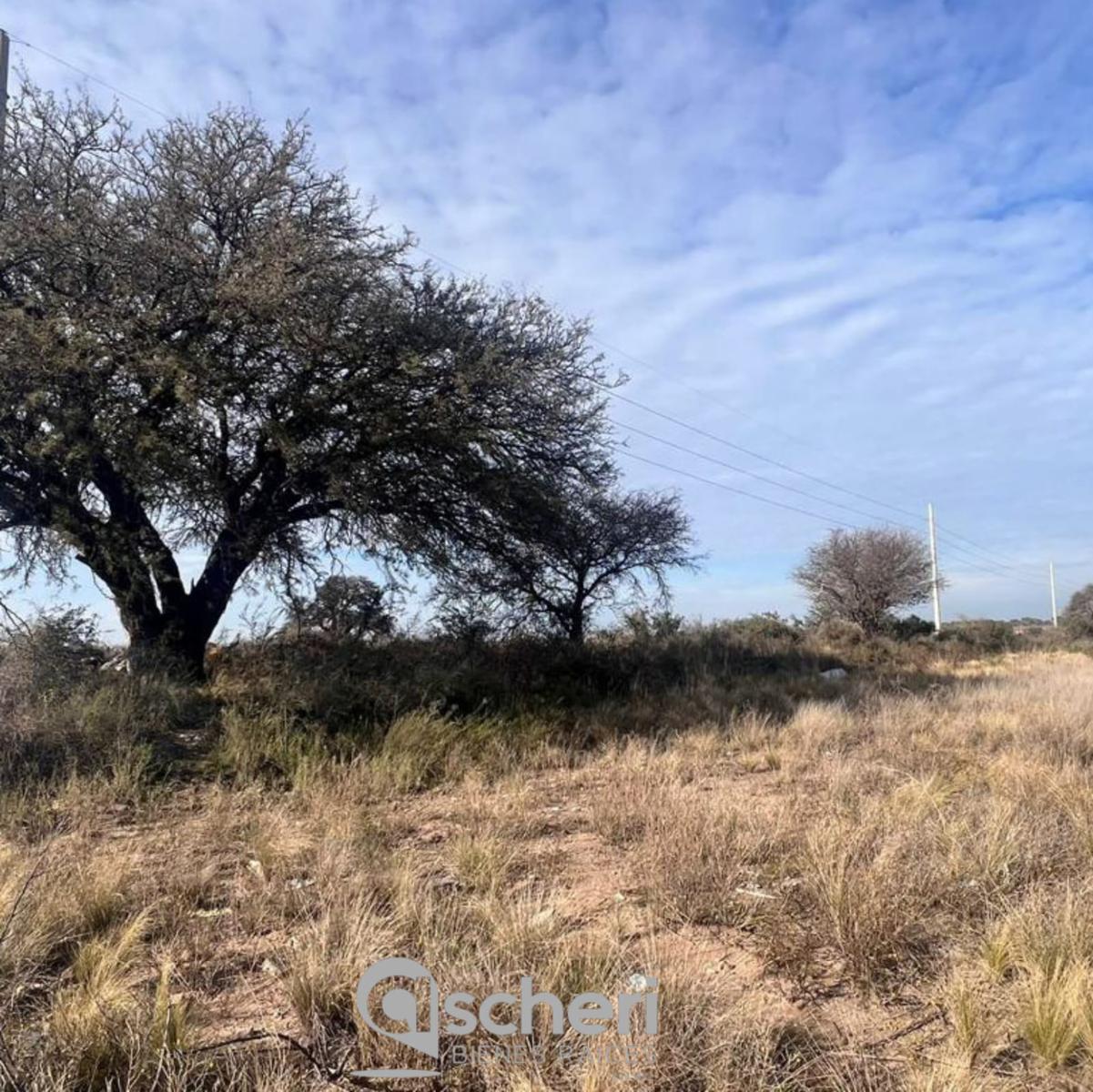 Terreno en Padre Ermesino- Barrio Portal del Sur