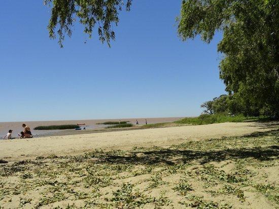 Ruta 11, Punta Indio - VENTA LOTE Nro. 2 - 1200m2