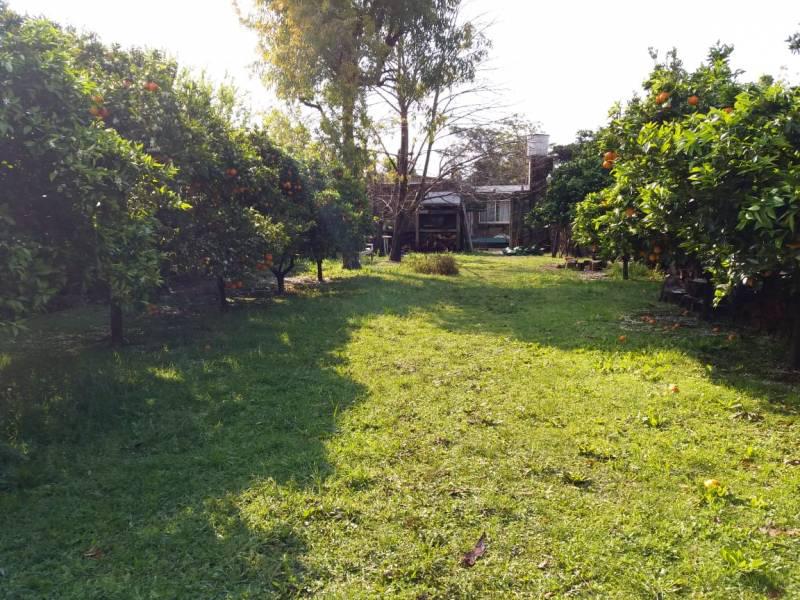 2 HERMOSOS LOTES !! venta conjunta o por separado