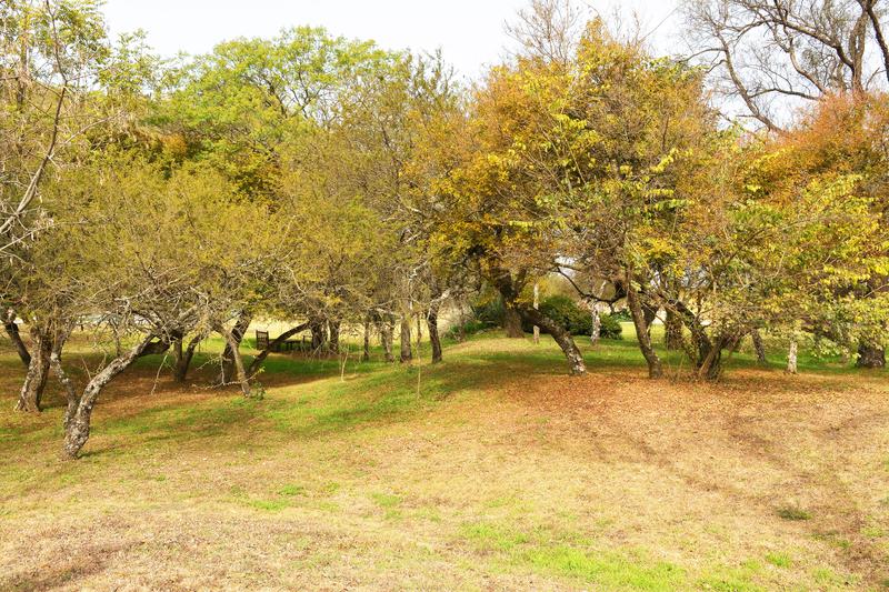 INCREIBLE CAMPO EN ALQUILER TEMPORADA FIESTAS Y ENERO EN SALTA CAPITAL