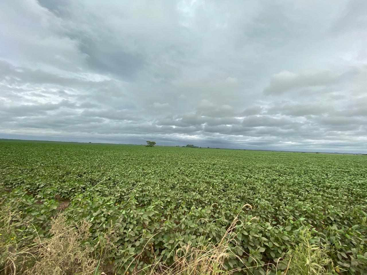 Campo en San justo - colonia Angeloni