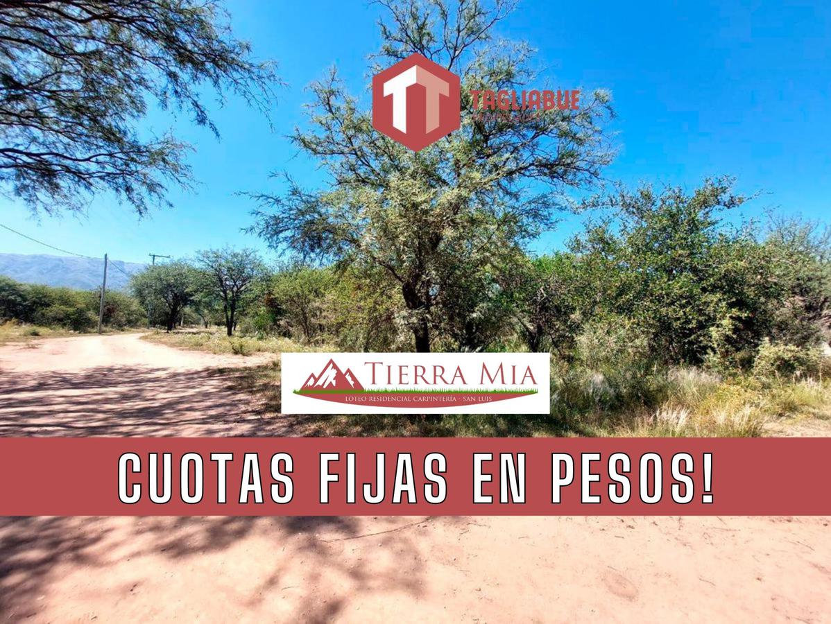 TIERRA MIA - Lote 61