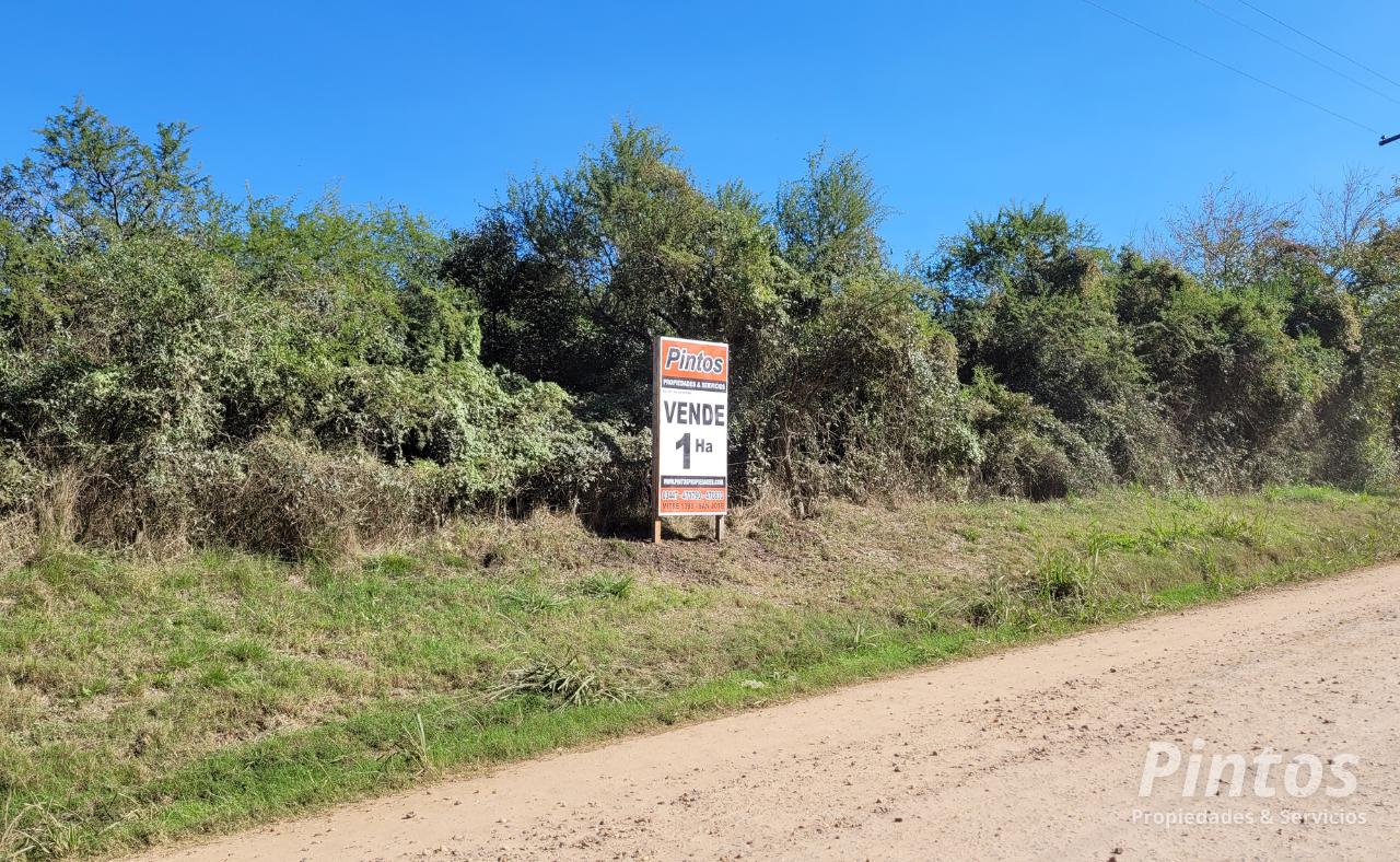 Terreno por Antelo, a 600 mts de calle de Ingreso a Playas y Termas. SAN JOSE. ENTRE RIOS.