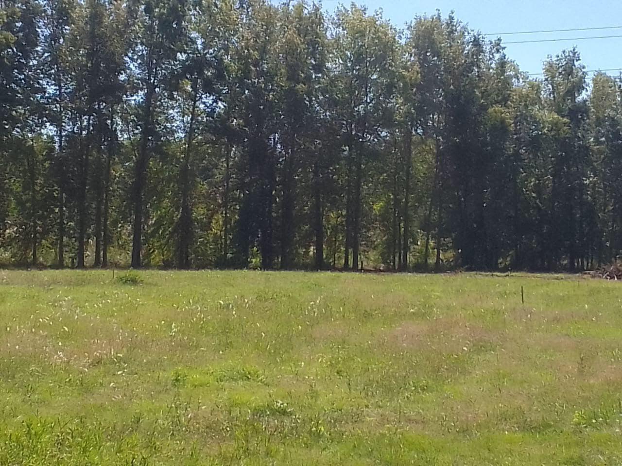 Terreno en  barrio altos de escobar