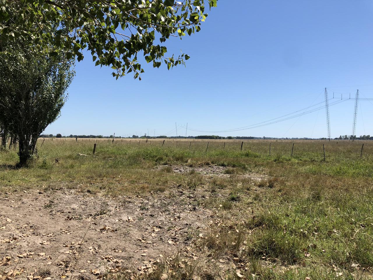 Campo en venta en  La Plata Ruta 215 Dacal Bienes Raices