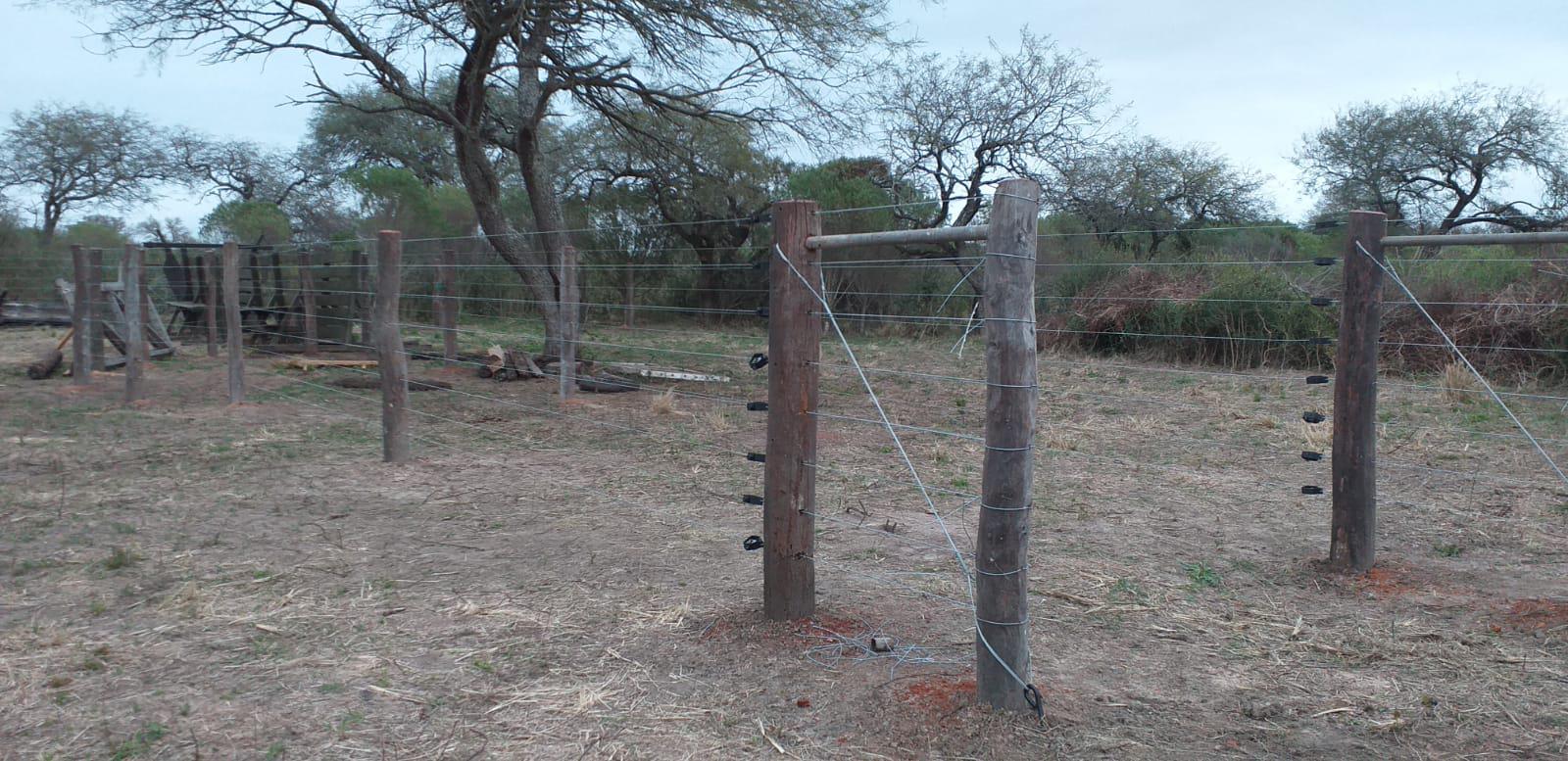 Campo en Esperanza