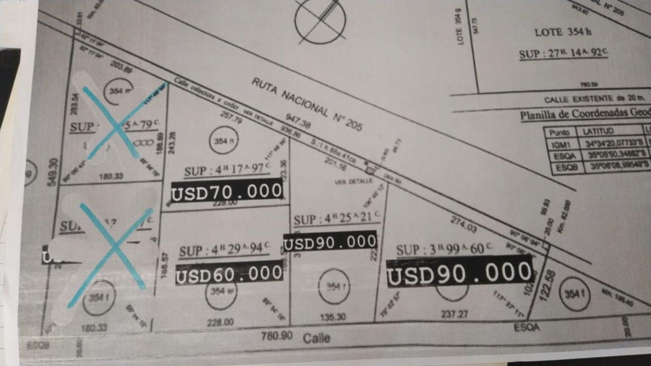 URIBELARREA. CHACRAS SOBRE RUTA 205. ACCESO URIBELARREA