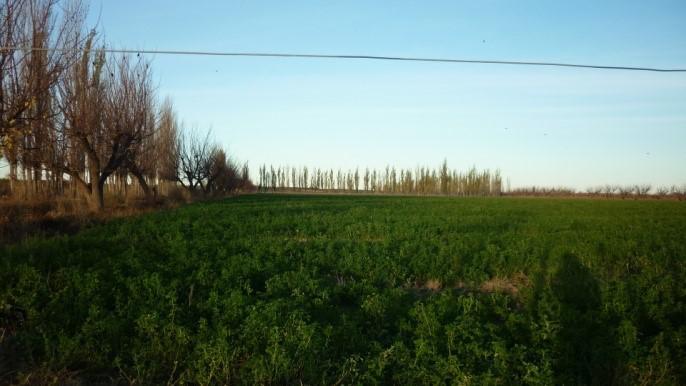 Finca de 105 has en Cañada Seca - Nogales y pasturas