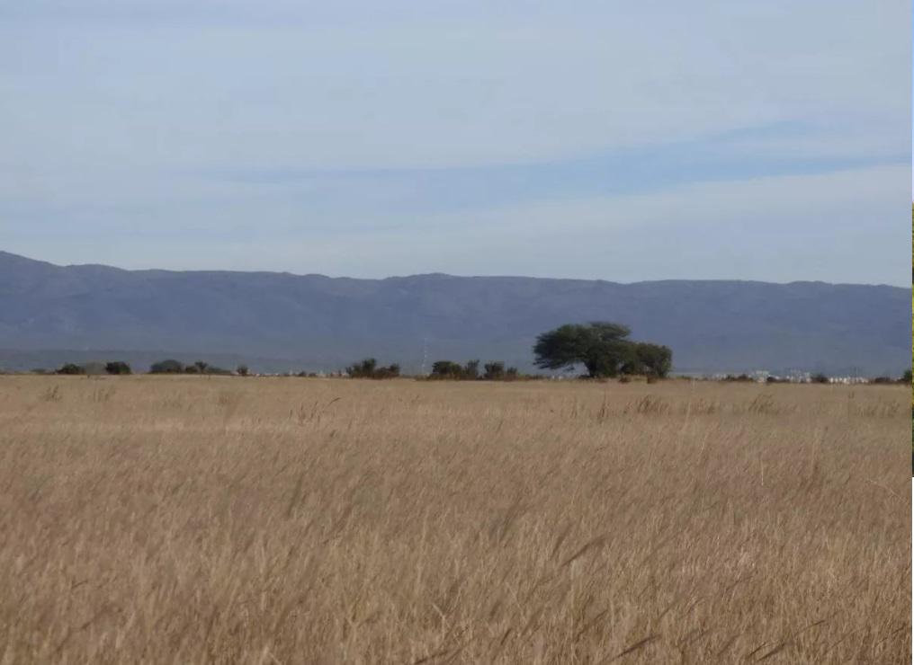 TERRENO EN PAMPAS DE MANANTIALES