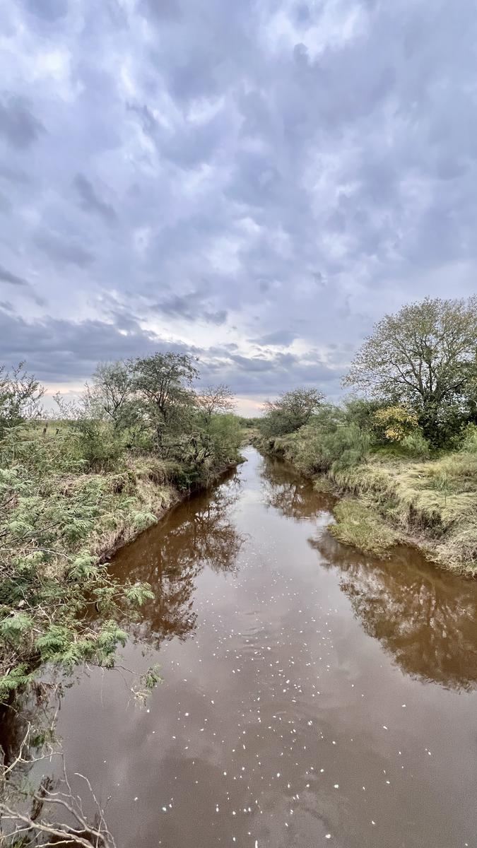 Venta campo de 127Ha en Clason, Santa Fe