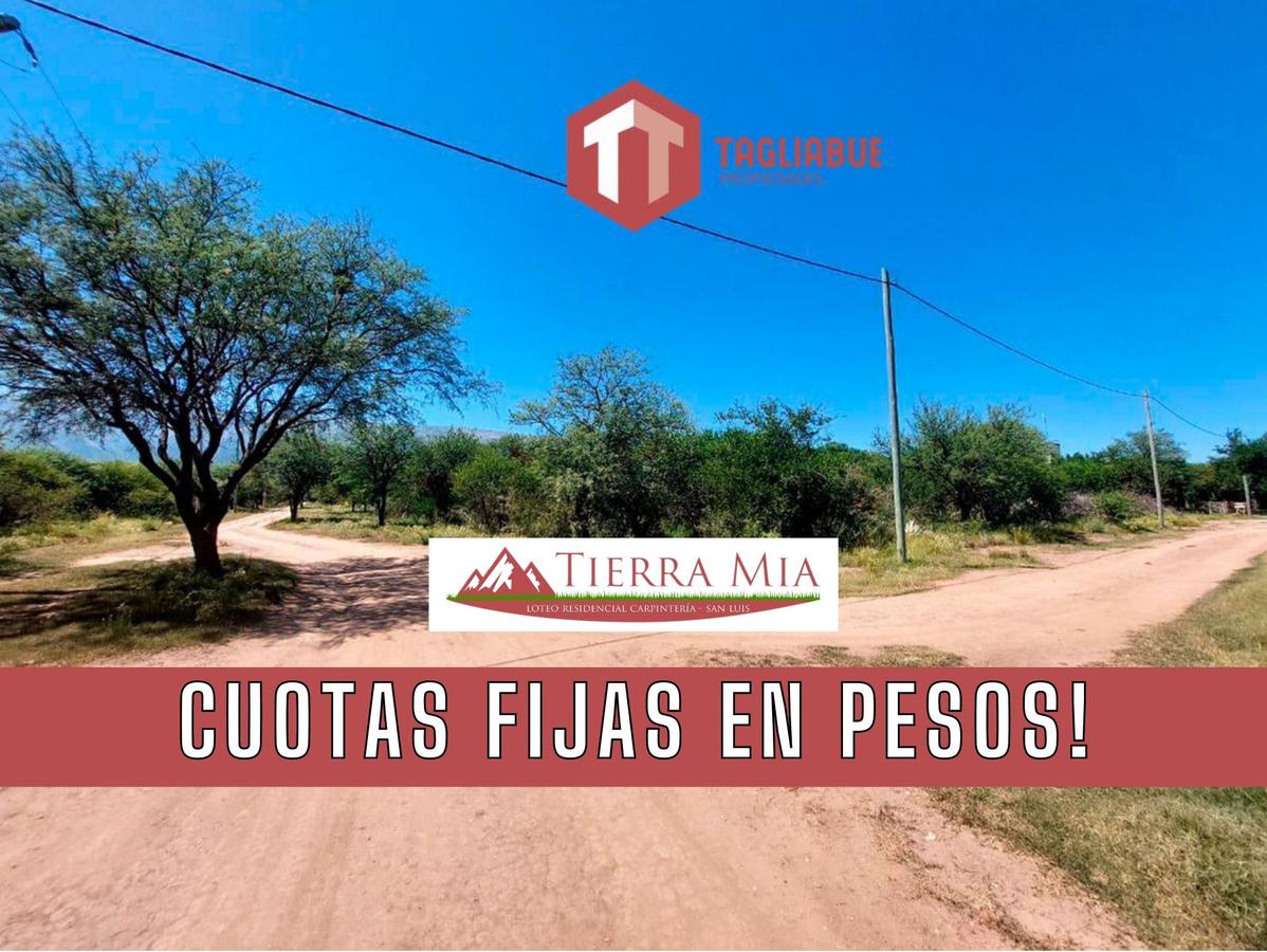 TIERRA MIA - Lote 112