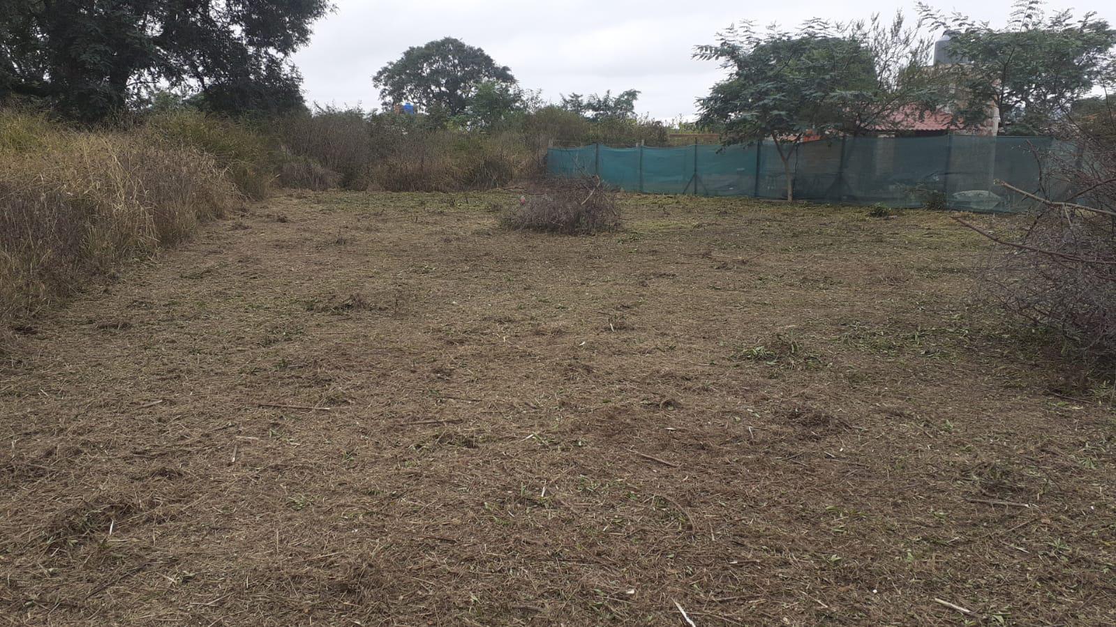 Terreno en  Bosque del Ceibal