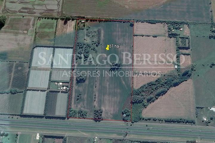 Terreno Campo  en Venta ubicado en Zárate, G.B.A. Zona Norte